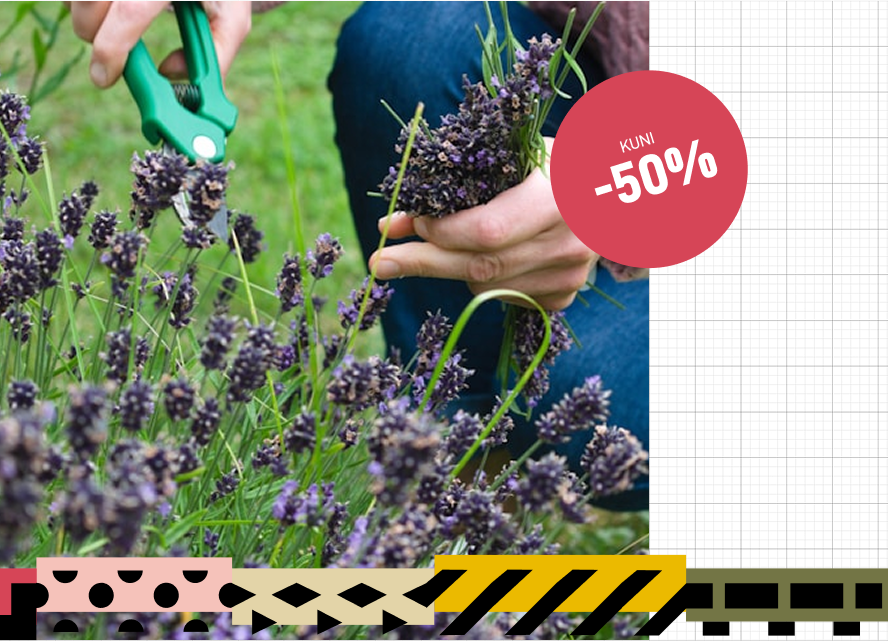 A runner tying his shoes